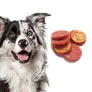 OEM ODM vendita calda sano e nutriente delizioso pollo e anatra anelli doppi cane tratta snack <span class=keywords><strong>cibo</strong></span> secco <span class=keywords><strong>per</strong></span> animali domestici - Product Image 1