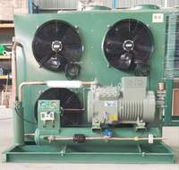 Unité de condensation à économie d'énergie Compresseur semi-hermétique à piston Compresseur à haut débit d'air Ventilateur axial pour chambres froides Commerciales