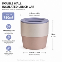Boîte à lunch isotherme pliable en acier inoxydable 304 de 750 ml, à double paroi, écologique, résistante aux fuites et compatible lave-vaisselle