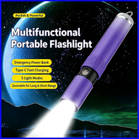 Lampe torche LED rechargeable portable, idéale pour le camping, la randonnée et les situations d'urgence
