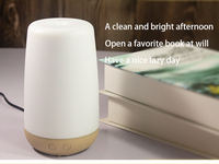 2021 ultrasons huile essentielle Air ABS couvercle de lampe en plastique brume fraîche humidificateur diffuseur d'arôme électrique