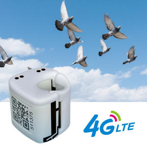 <span class=keywords><strong>GPS</strong></span>-<span class=keywords><strong>tracker</strong></span> voor postduiven, IP67 waterdicht, 4G Android, LBS, kleine afmeting, nauwkeurige positionering, duiven <span class=keywords><strong>tracker</strong></span> voor races - Product Image 4