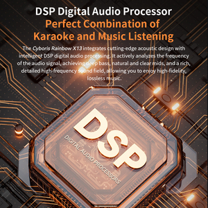 Cyboris X13 2025 200W Karaoke, altoparlante Wireless portatile <span class=keywords><strong>con</strong></span> 2 microfoni, 6.5m Aux, luci RGB e bassi profondi - Product Image 5