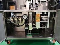 Machine d'emballage entièrement automatique pour le conditionnement en forme de brique de riz, levure, thé, grains de café, arachides, graines de tournesol