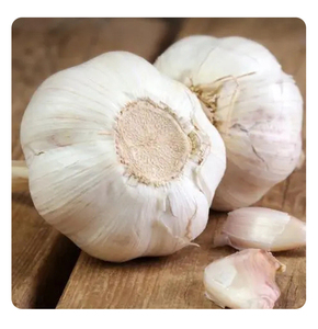 Nouvelle récolte d'ail frais de haute qualité fournisseur d'origine produits entièrement séchés poudre d'ail prix de gros - Product Image 5