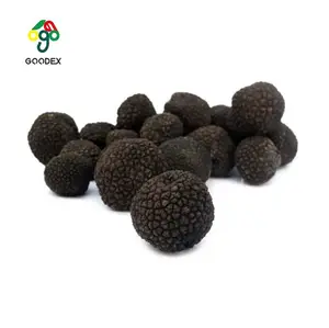 Fonte de fábrica 2023 novo produto seco truffle fatias