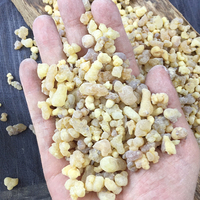 Encens Somalie Pure Résine Sauvage Olibanum Gomme Boswellia Serrata Huile Essentielle Encens Écorces Séchées Top Importé Herbe