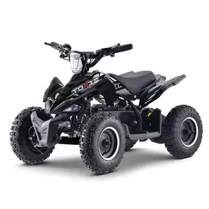 טאו מנוע חשמלי מיני Quad 36V 500W 800W 1000W עם CE