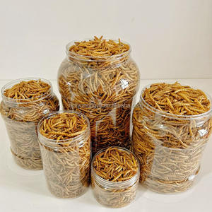 Vers de farine séchés 100% Pure Natural High Protein Custom Mealworms Nourriture de tortue séchée - Product Image 2