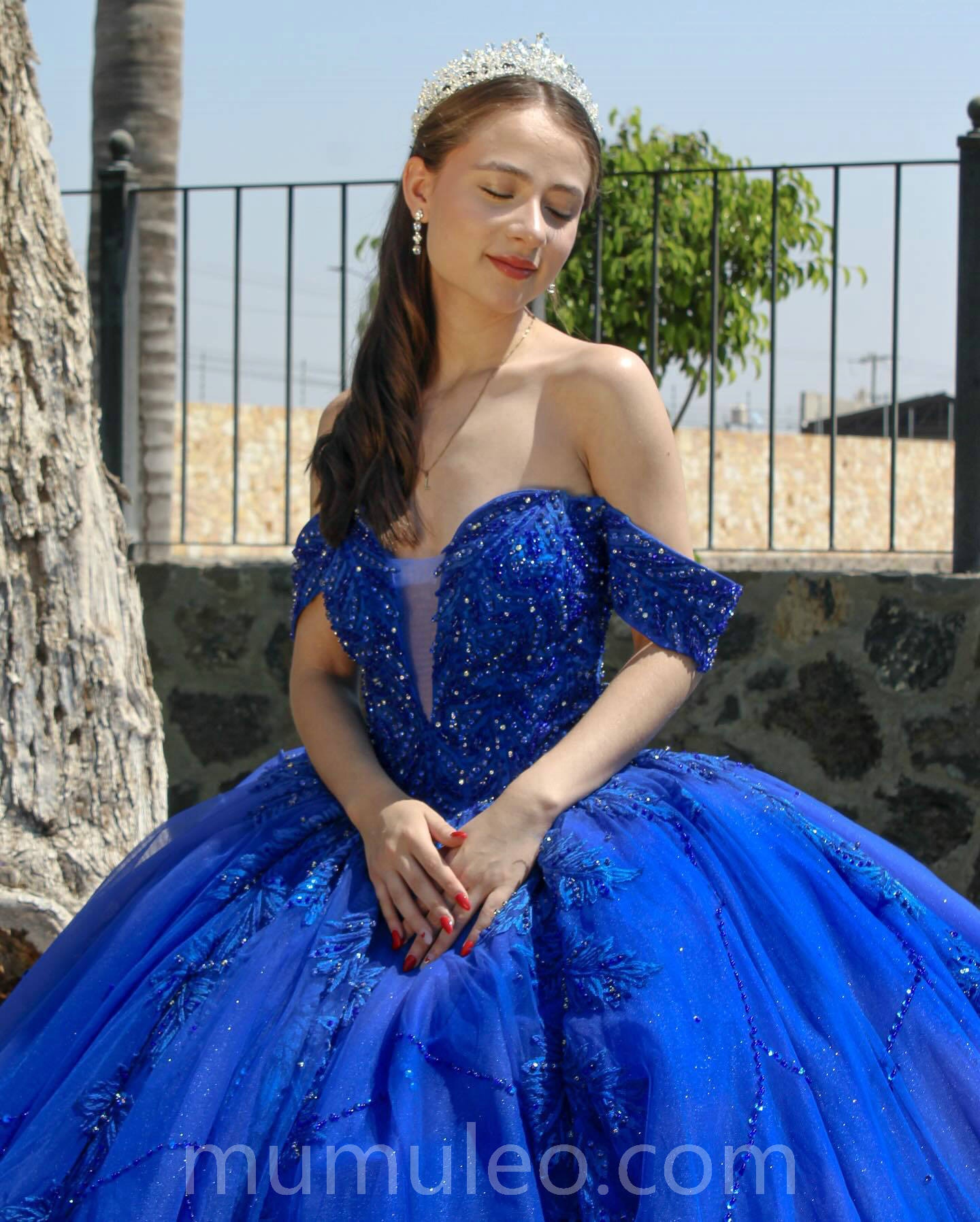 Mumuleo Blue Quince Dress - Sweet 16 Ball Gown with Sequins Mumuleo Blue Quince Dress - Sweet 16 Ball Gown with Sequins
