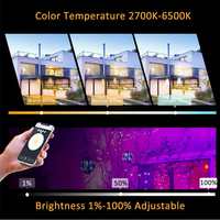 Fabricant de projecteur LED RVB en aluminium moulé sous pression pour l'extérieur Projecteur à télécommande à changement de couleur