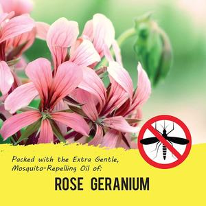 Spray Répulsif Anti-Moustiques et Insectes 100% Naturel Marque Blanche, Sûr pour Bébé, avec Emballage Personnalisé, Vente en Gros <span class=keywords><strong>Essentielle</strong></span> - Product Image 3