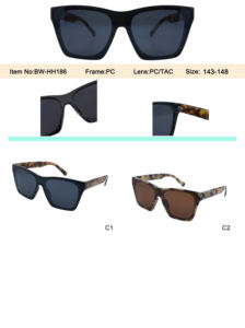 Lunettes <span class=keywords><strong>de</strong></span> soleil personnalisées surdimensionnées carrées avec verres polarisés pour hommes et femmes - Product Image 5