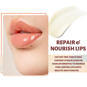 Organischer Natürlicher Kräuter-Mini-Vegan-Lippenbalsam Private Label Sanft Tiefenwirksam Feuchtigkeitsspendend Langanhaltend Glättend Wasserfest Nährend für die Lippen - Product Image 5