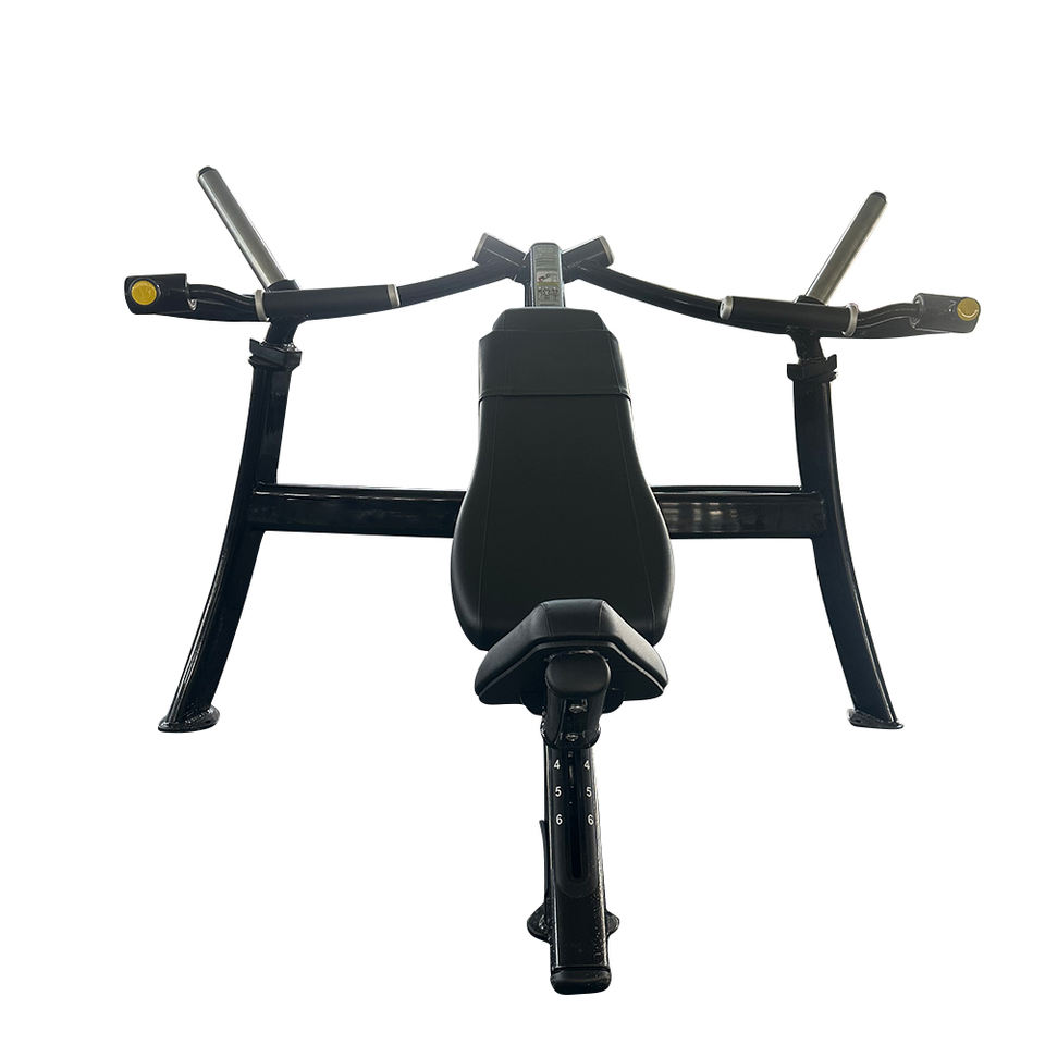 Freeman Professional Incline Bench Press for Upper Chest Muscle ...