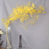 Vente en gros de feuillage éternel préservé vert Setaceus, fleurs décoratives longue durée de qualité supérieure pour le Nouvel An et Pâques