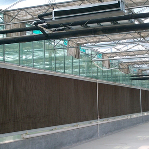 Invernadero comercial de vidrio acuapónico para agricultura ecológica con cubierta de hoja de policarbonato ventilador de refrigeración/calentador para cría - Product Image 6