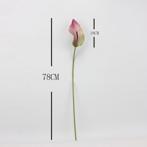 <span class=keywords><strong>ดอกบัว</strong></span><span class=keywords><strong>กวน</strong></span><span class=keywords><strong>อิ</strong></span><span class=keywords><strong>ม</strong></span>ประดิษฐ์คุณภาพสูง ขนาด 78 ซม. สั<span class=keywords><strong>ม</strong></span>ผัสเหมือนจริง ให้ควา<span class=keywords><strong>ม</strong></span>ชุ่มชื้น สำหรับดอกไ<span class=keywords><strong>ม</strong></span>้เดี่ยว รุ่น LO-647 ขายส่ง - Product Image 2