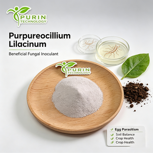 Purpureocillium Lilacinum Paecilomyces Lilacinus Samson, Agente Microbiano Agrícola para el Control de Nematodos de Nódulos Radiculares - Product Image 3