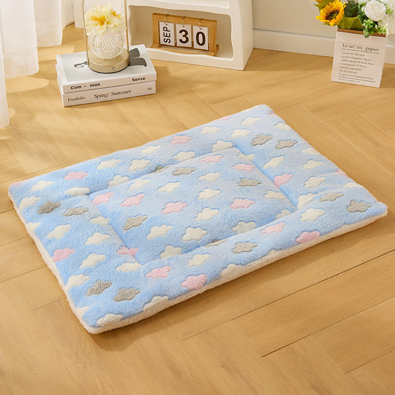 Blue Cushion with Cloud Patterns