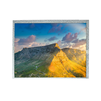 Panel LCD TFT Industri 10,4" 104SCE4250-B4 1024*768 XGA 450cd/m² Antarmuka LVDS Rasio Tampilan 4:3 untuk HMI IPC
