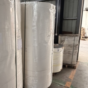 Papier de base blanc enduit de PE, biodégradable, prêt à l'emploi en vrac, matière première pour fonds de gobelets imprimés en offset - Product Image 5