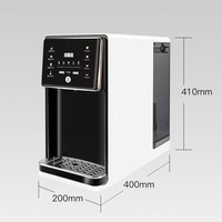 Distributeur d'eau de comptoir en plastique 110V 220V avec filtre à osmose inverse 100G, système de purification d'eau RO à chauffage instantané pour hôtels et camping-cars