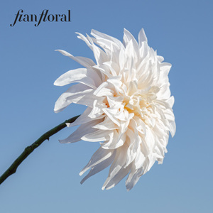 FONG IAN Nouvelle Arrivée Automne Fleurs Artificielles Grandes <span class=keywords><strong>Dahlia</strong></span> Effet Naturel <span class=keywords><strong>Café</strong></span> au Lait pour Décoration Mariage Saint-Valentin - Product Image 2