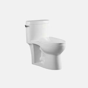 Inodoros de Cerámica con Sifón, Montaje en Suelo, Estilo Moderno Occidental, Alargados, de Una Pieza, con Doble Descarga, para Baño ADA, en Oferta - Product Image 3