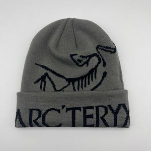 Gorro de Punto Personalizado con Letras, Diseño de Dinosaurio para Otoño e Invierno, Gorro Cálido Tipo Beanie - Product Image 2