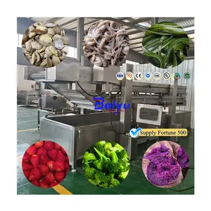 Máquina industrial de branqueamento de vegetais Baiyu Panela para branquear e refrigerar vegetais para lojas de alimentos