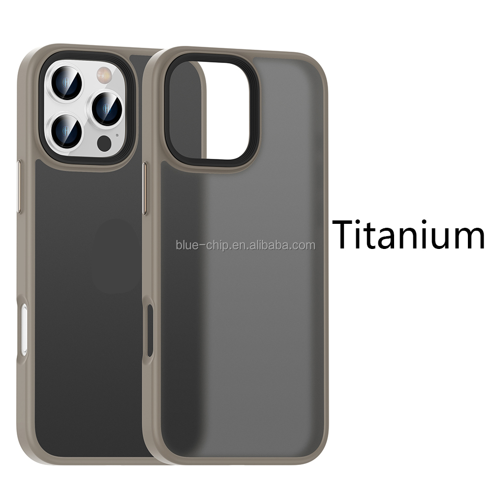 Titanium color