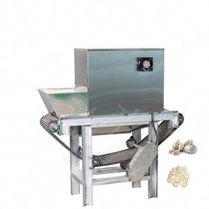 Máquina peladora de licuadora de ajo de venta caliente en India - Product Image 3