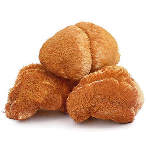 Longze factory direct – poudre d'extrait de champignon de crinière de lion/<span class=keywords><strong>Hericium</strong></span> <span class=keywords><strong>Erinaceus</strong></span> - Product Image 2