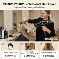 Sèche-cheveux ionique professionnel 2600W pour usage domestique et en salon, moteur AC puissant et silencieux pour applications en extérieur et hôtelières