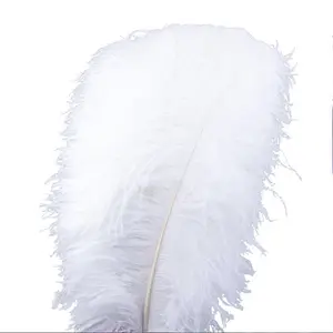 Grosir 15-80Cm Dekorasi Bulu Panggung Besar Rangkaian Bunga Pernikahan Bulu Burung Unta Putih