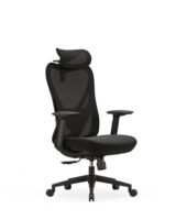 Chaise de bureau ergonomique haut de gamme en tissu maillé OEM ODM avec rembourrage en éponge et roulettes, idéale pour la maison, le bureau, l'hôpital, l'usine – Vente directe usine, MOQ 5