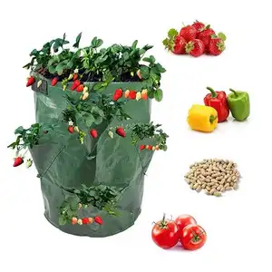 Produit tendance 2023 pour la plantation de légumes planteuse de tomates à l'envers PE tissée