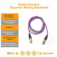 Arnés de Cableado Personalizado a Prueba de Agua con Conectores IP67 y Prensaestopas para Instalaciones de CCTV en Entornos Difíciles
