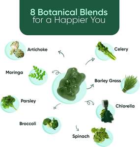 Gomitas de Superfrutas y Verduras OEM/ODM, con Vitamina B12, Vitamina B3 y Antioxidantes, Veganas, Sin Gluten - Product Image 2