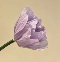 Fleurs en papier géantes en forme de tulipe de couleur personnalisée pour la décoration de la scène de mariage, des événements et des fêtes