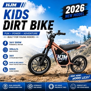 Vente directe d'usine, moto électrique tout-terrain 500w 36v, moto électrique tout-terrain à vendre - Product Image 2