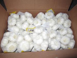 Ajo Blanco Normal, Precio de Fábrica, Empaque a Granel, Ajo Chino Fresco de 6.0cm, Proveedor Mayorista de Vegetales - Product Image 3