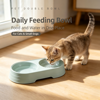 Bol double pour animaux de compagnie, bol pour nourriture pour chat, distributeur d'eau pour chien, base surélevée antidérapante, plat de nourrissage en plastique pour chats et petits chiens
