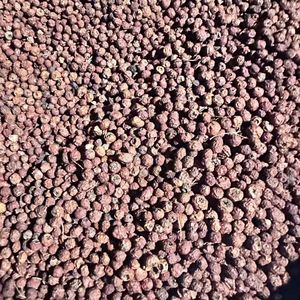 Fruta <span class=keywords><strong>Taxus</strong></span> seca Premium en Bolsa-Producto alimenticio y bebida - Product Image 5