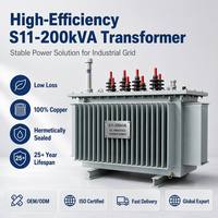 Transformateur de puissance triphasé immergé dans l'huile Wanbo-266 OEM personnalisé S11 200 kVA 10 kV à enroulement en cuivre