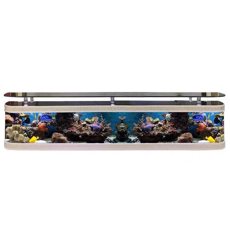 Grand cube transparent personnalisé en acrylique pour aquarium, table en verre pour aquarium