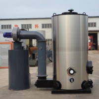 Chaudière à vapeur à biomasse automatique intelligente pour l'alimentation en particules, facile à manipuler, 100 CV, 2 tonnes/h, pour usine de transformation de mangues
