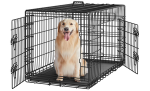 <span class=keywords><strong>Cage</strong></span> à double porte pour animaux de compagnie <span class=keywords><strong>Cage</strong></span> pliante en métal pour chiens <span class=keywords><strong>Cage</strong></span> à deux portes pour animaux de compagnie - Product Image 3