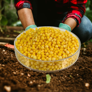 Fertilizante <span class=keywords><strong>de</strong></span> <span class=keywords><strong>magnesio</strong></span> y calcio que garantiza la absorción óptima <span class=keywords><strong>de</strong></span> nutrientes previene la pudrición del extremo <span class=keywords><strong>de</strong></span> la flor en los tomates y la amargura en las manzanas - Product Image 1